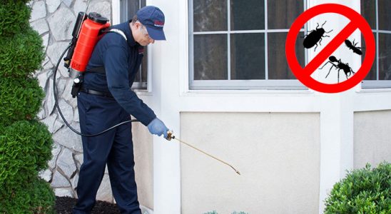 Ayrancılar Akrep İlaçlama böcek ilaçlama ve haşere kontrolü — ilaclama-tr.com